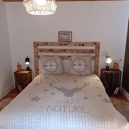 Appartement Cosy Avec Son Charme Ancien. Saint-Claude Buitenkant foto