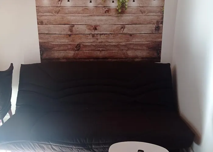 Appartement Cosy Avec Son Charme Ancien.